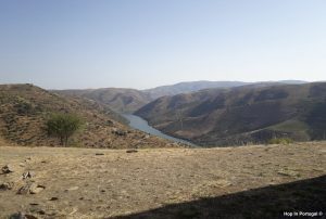 Explore Côa Valley in Portugal: 25,000 years of remarkable art
