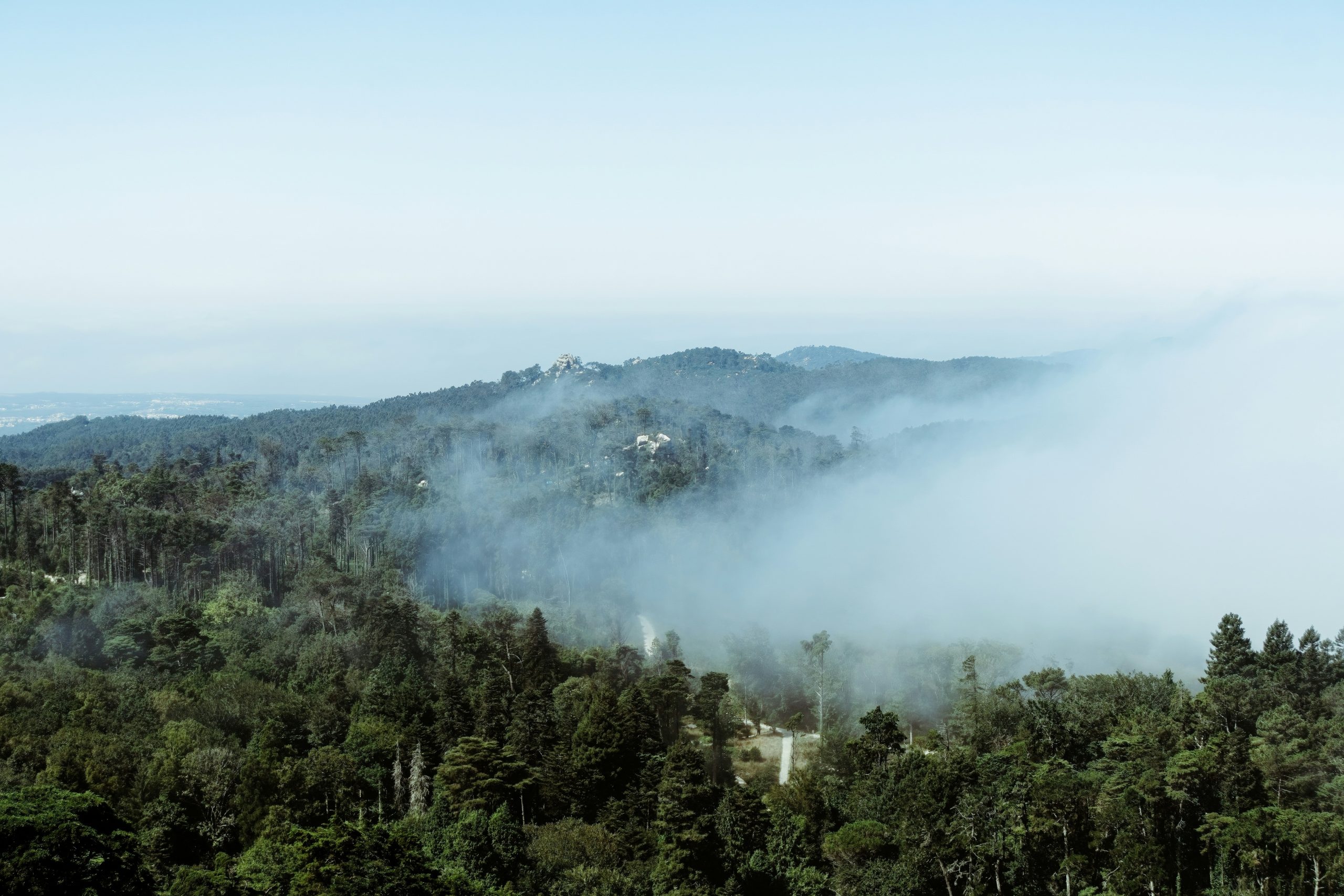 Fog in Sintra, Portugal