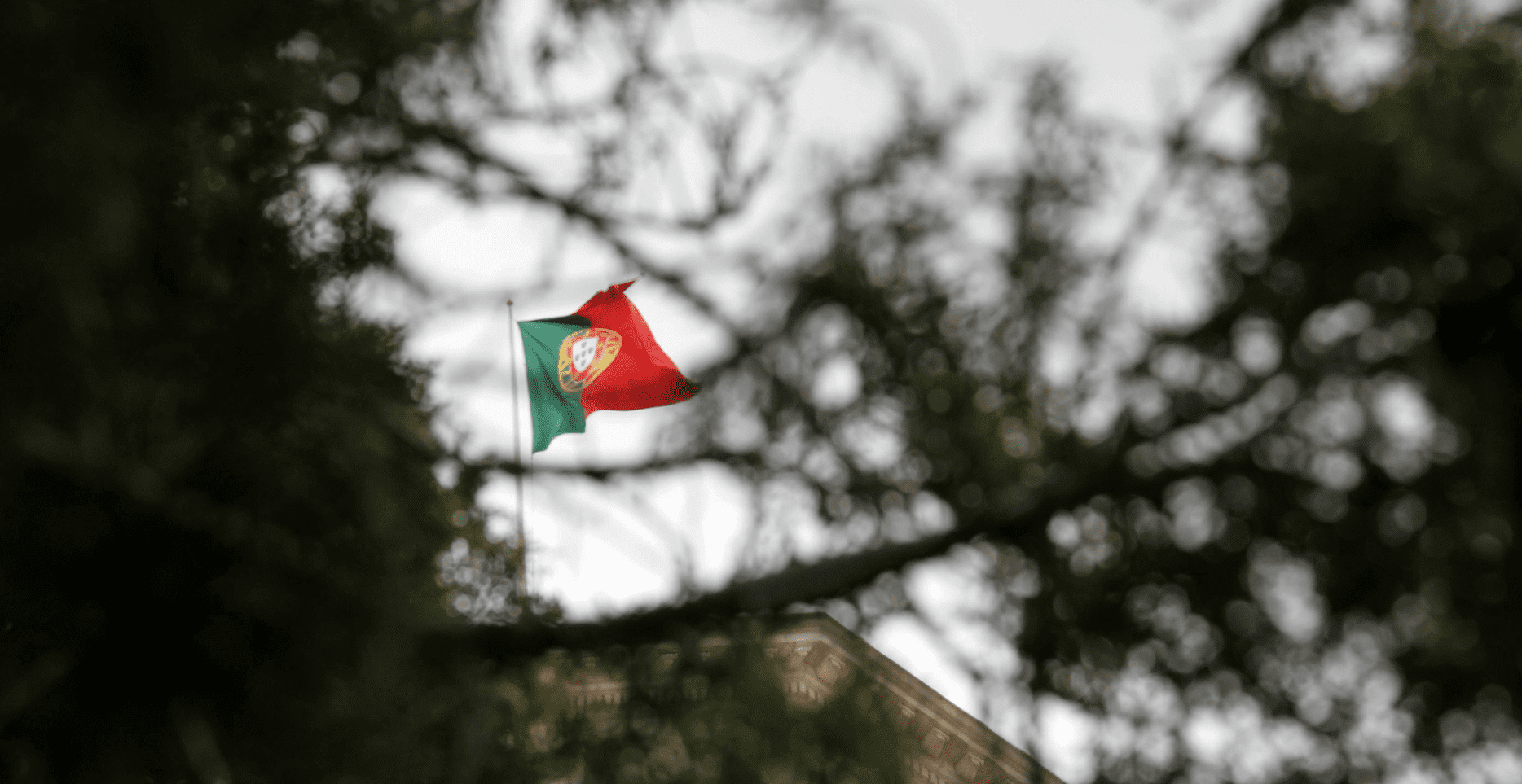 photo of portuguese flag. new laws for immigration in portugal