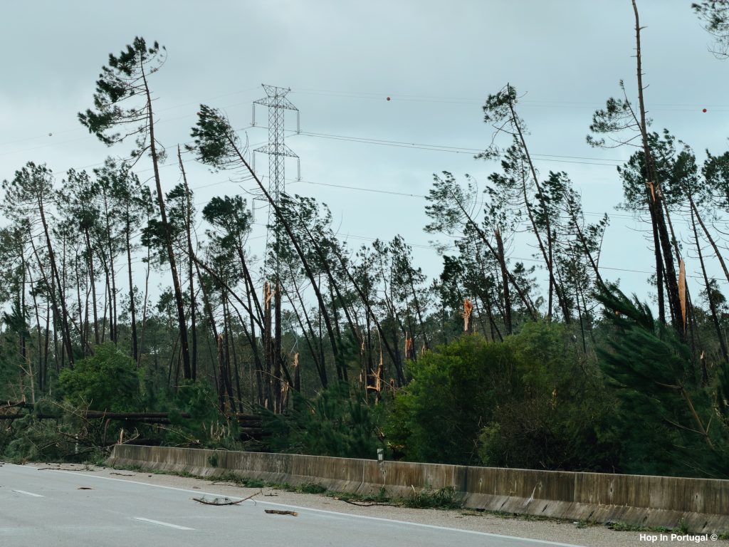 Road with fallen trees and branches near Leiria
