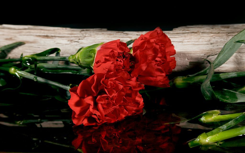 April 25 in Portugal – Remarkable Carnation Revolution