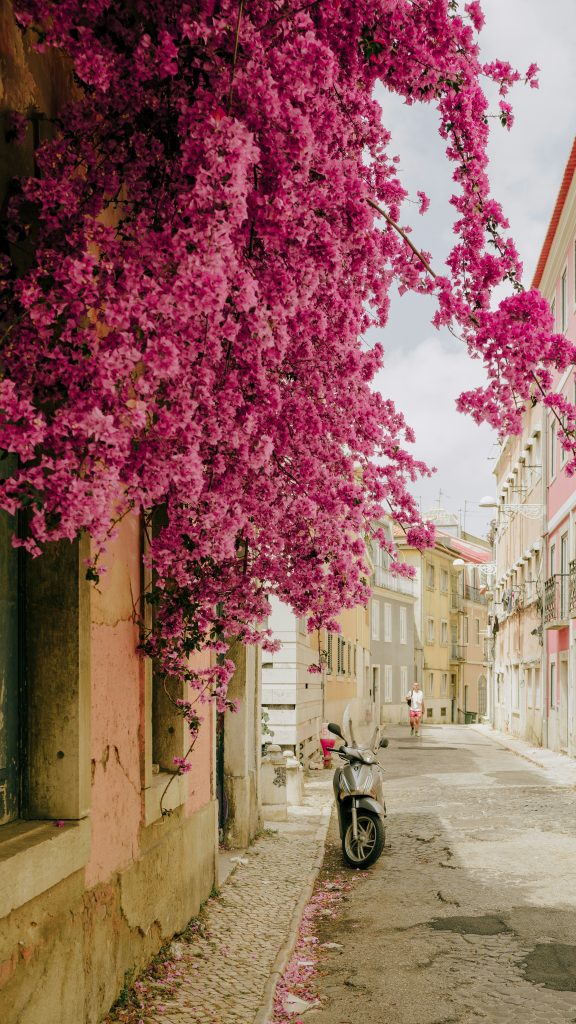 What’s the Best Time to Visit Lisbon?