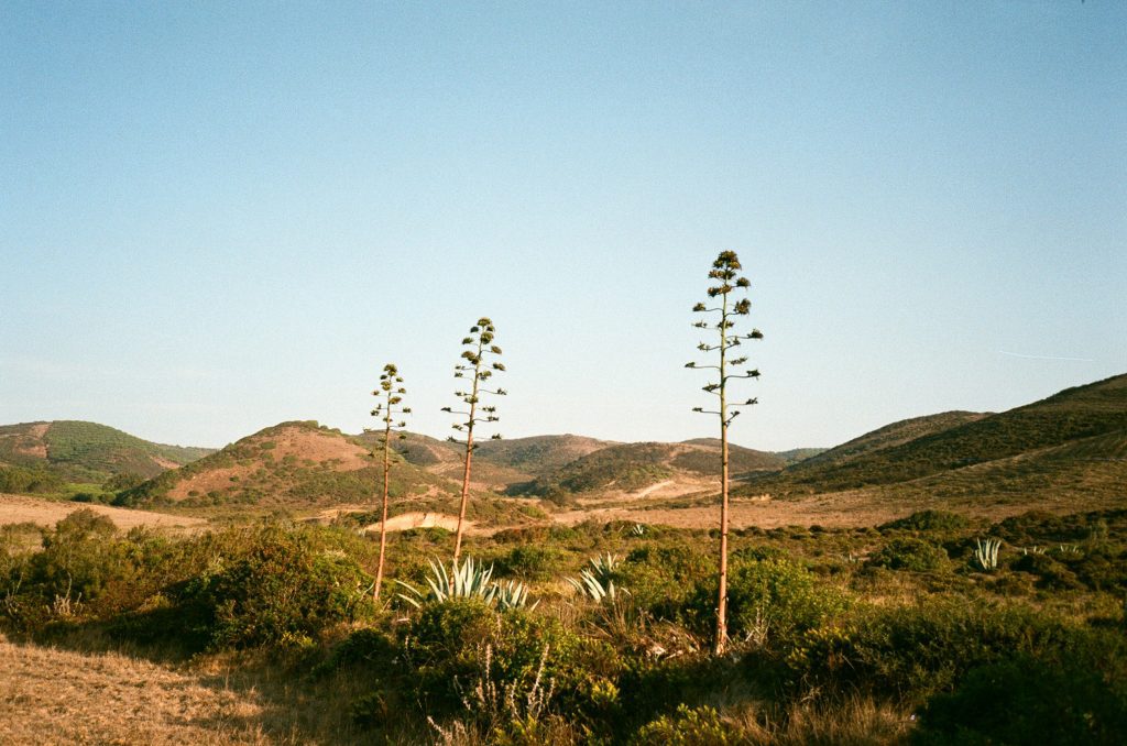Sunburned hills in Portugal with some green vegetation